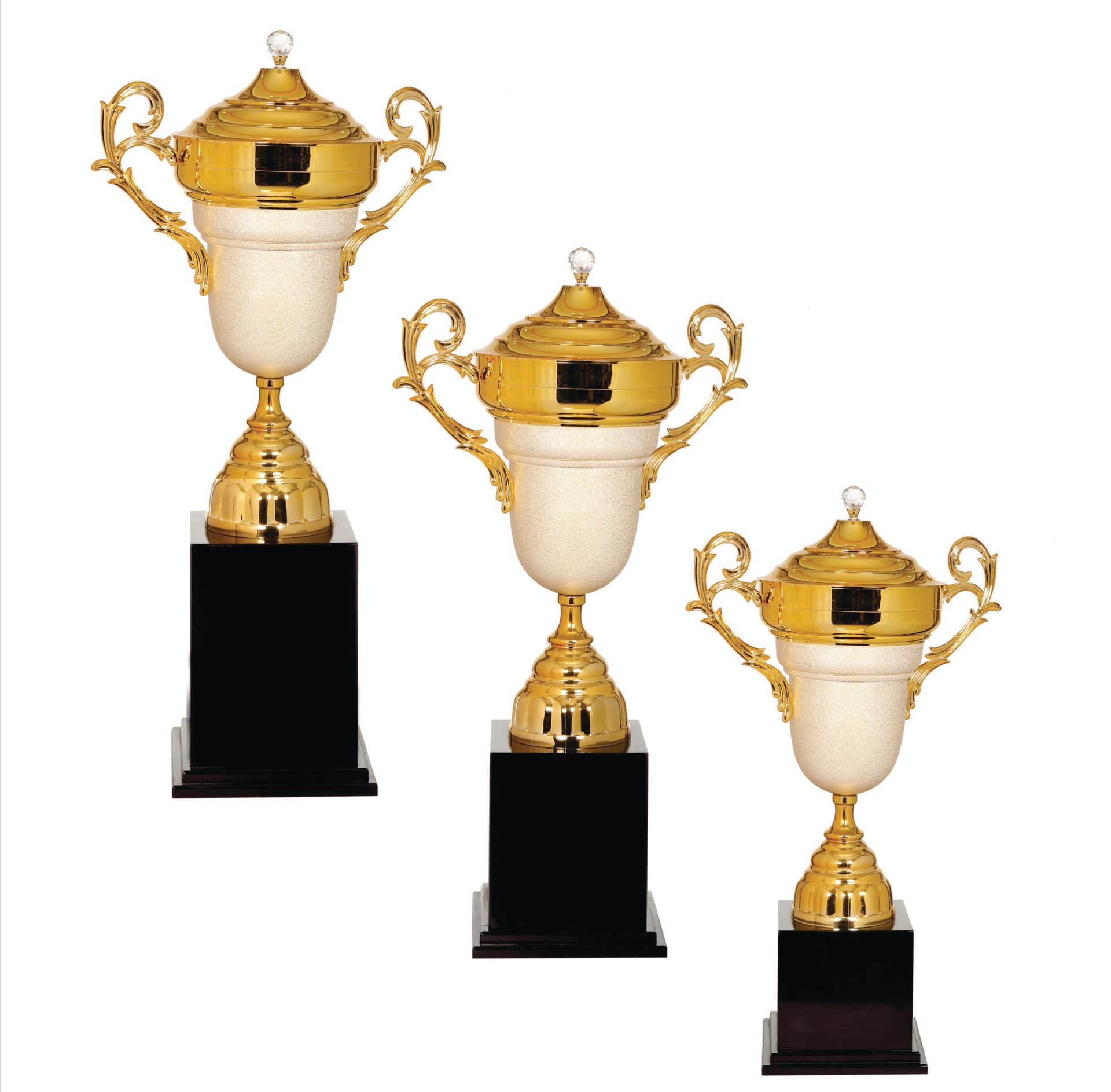 SCHOOL AWARDS